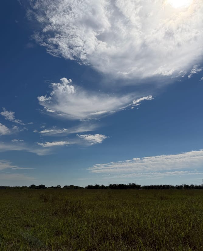 10 acres HUGE trees near Lake Tawakoni