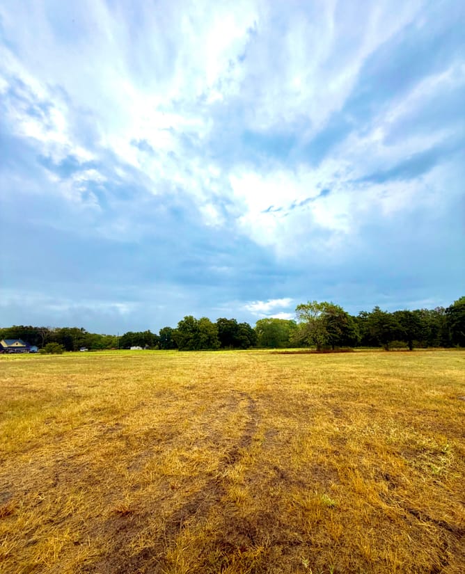 10 acres HUGE trees near Lake Tawakoni