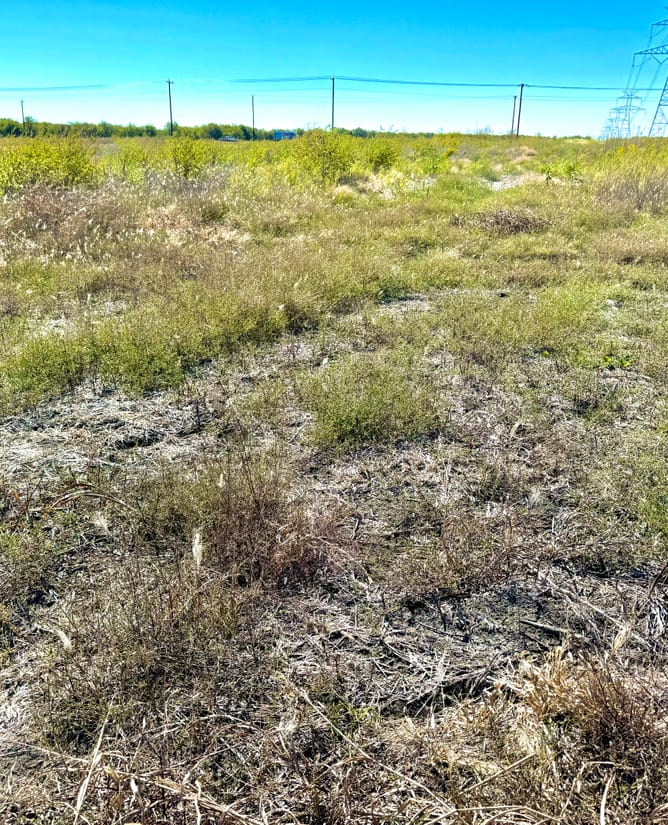 Tract 7 at Rolling Ridge