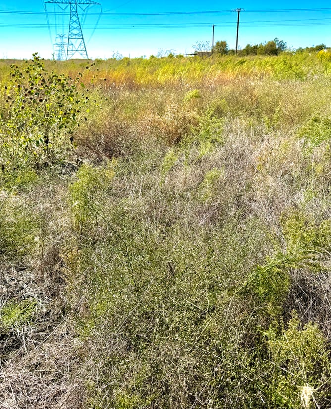 Tract 7 at Rolling Ridge