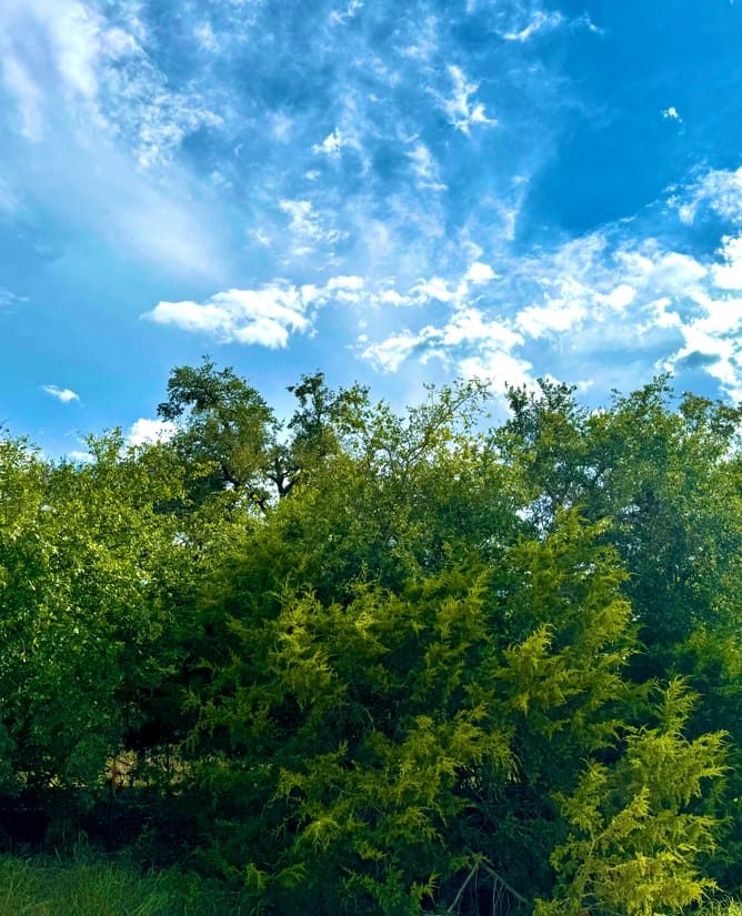 2.6 Acres off Tenney Creek Road
