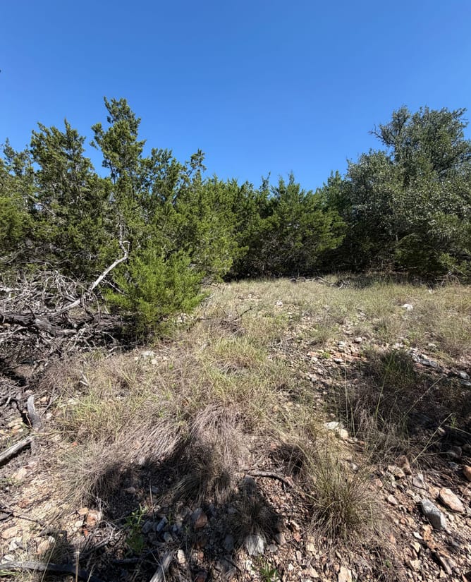 10 Hill Country Acres