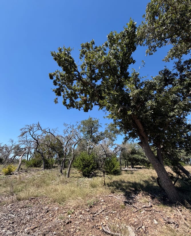 10 Hill Country Acres
