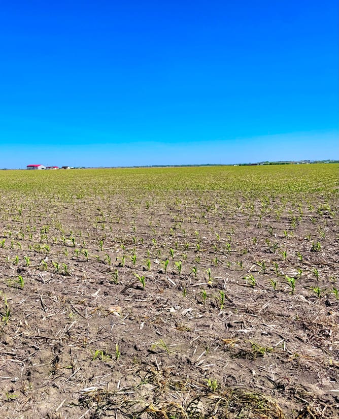 Owner Financed 11+ Acres | Utilities