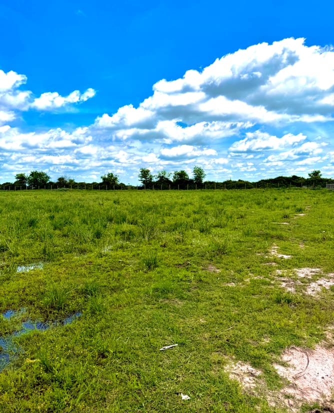 11.4 acres with pond, fence and privacy