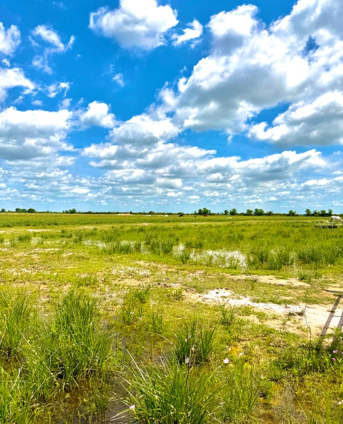 11.4 acres with pond, fence and privacy