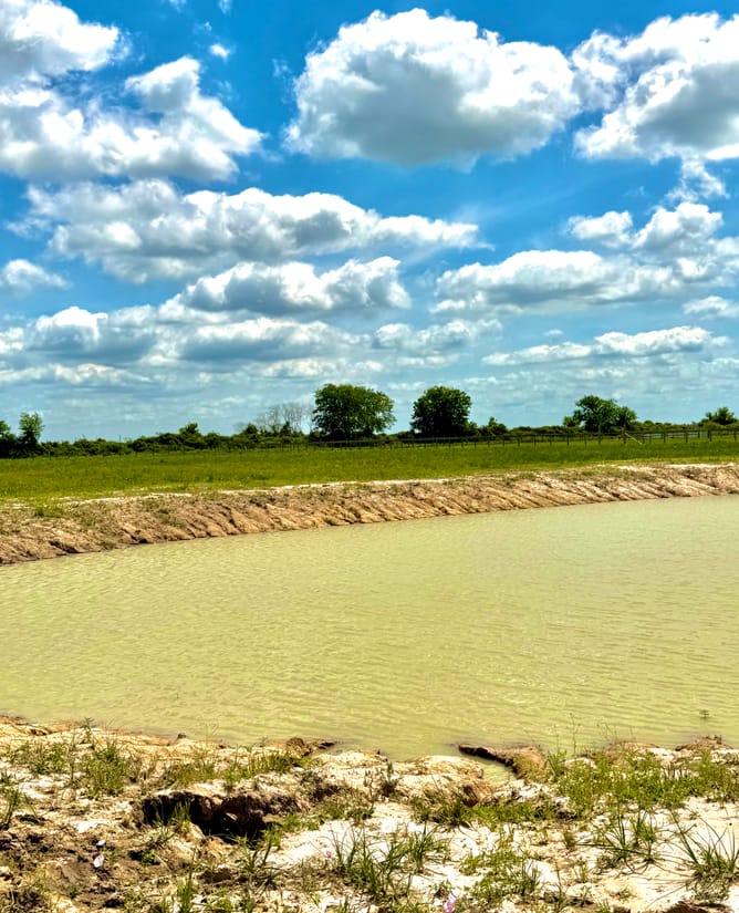 11.4 acres with pond, fence and privacy