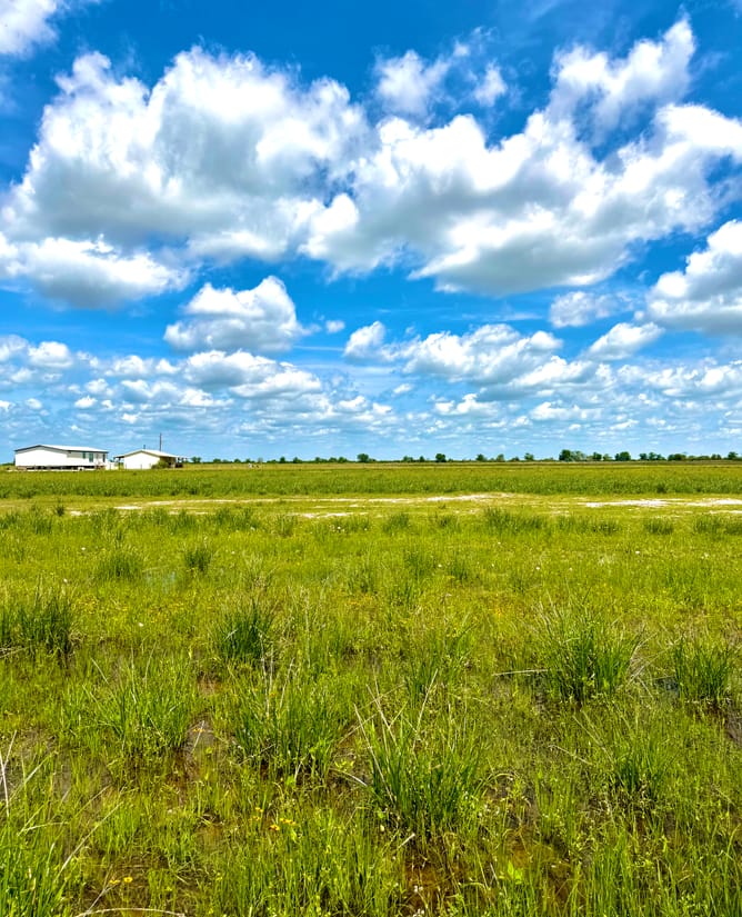 11.4 acres with pond, fence and privacy