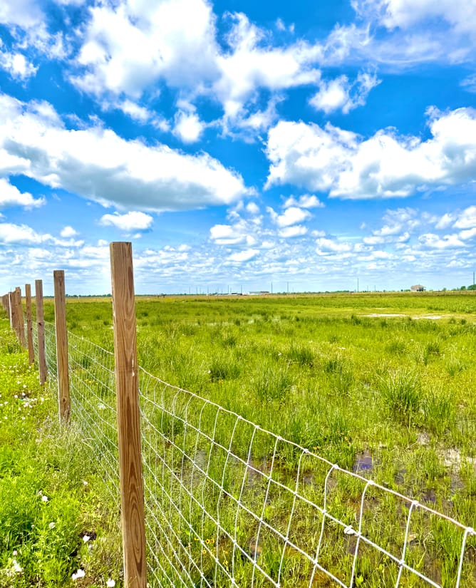 11.4 acres with pond, fence and privacy