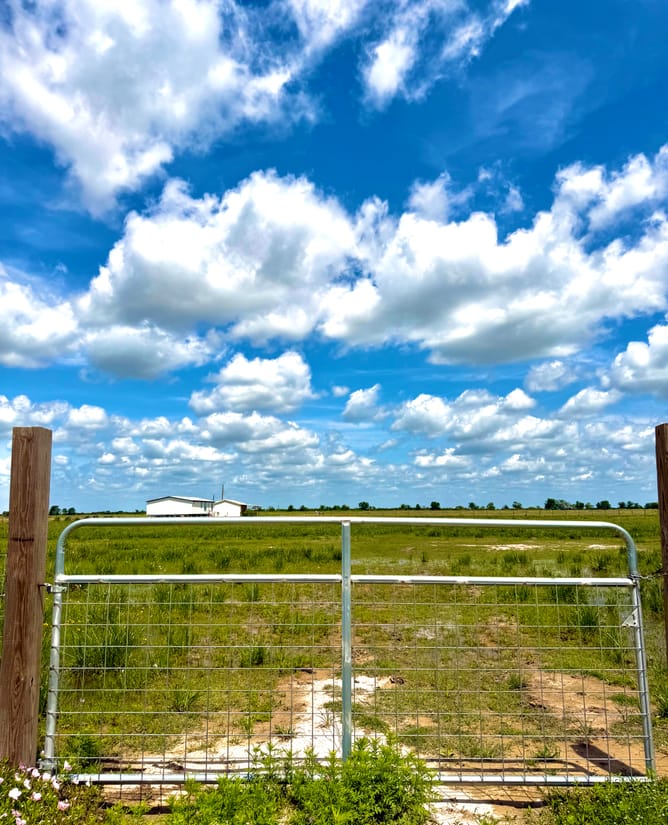 11.4 acres with pond, fence and privacy