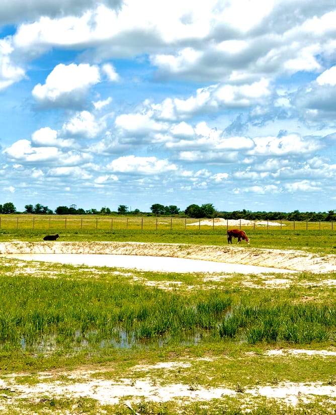 11.4 acres with pond, fence and privacy