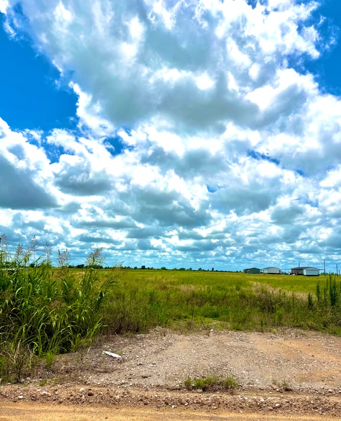 11 acres cleared & private - Colorado County
