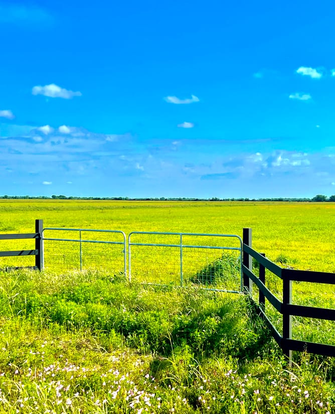 11.3 Cleared Acres Outside Eagle Lake