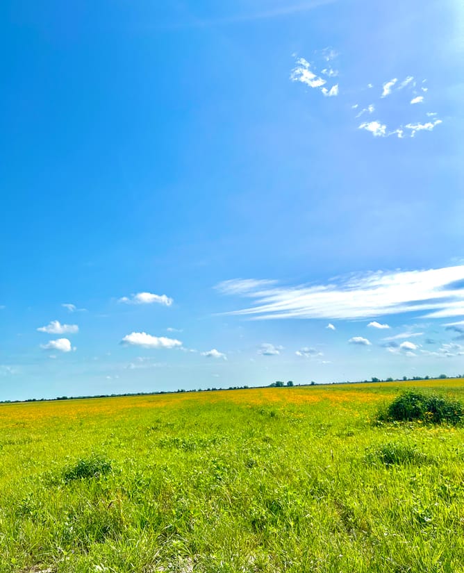 11.3 Cleared Acres Outside Eagle Lake