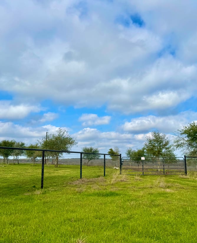 Rhino's Ranch