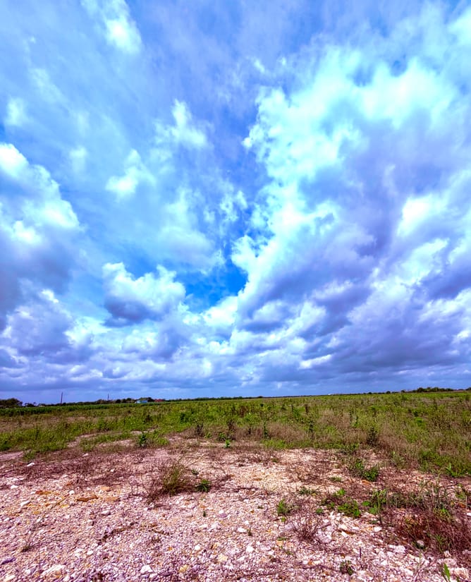 11.6 acres Way W of Houston (Wallis, TX)
