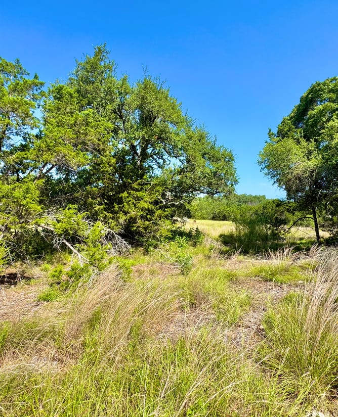 5 Hill Country Acres in Bulverde, Texas
