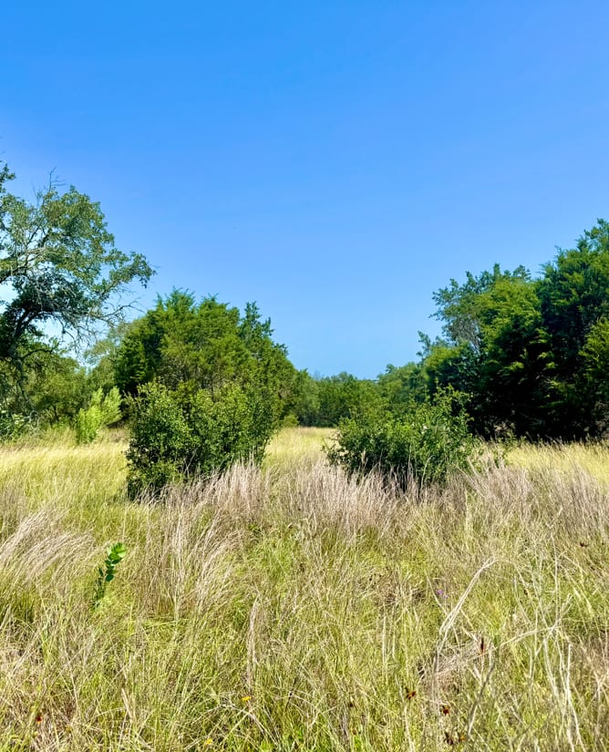 5 Hill Country Acres in Bulverde, Texas
