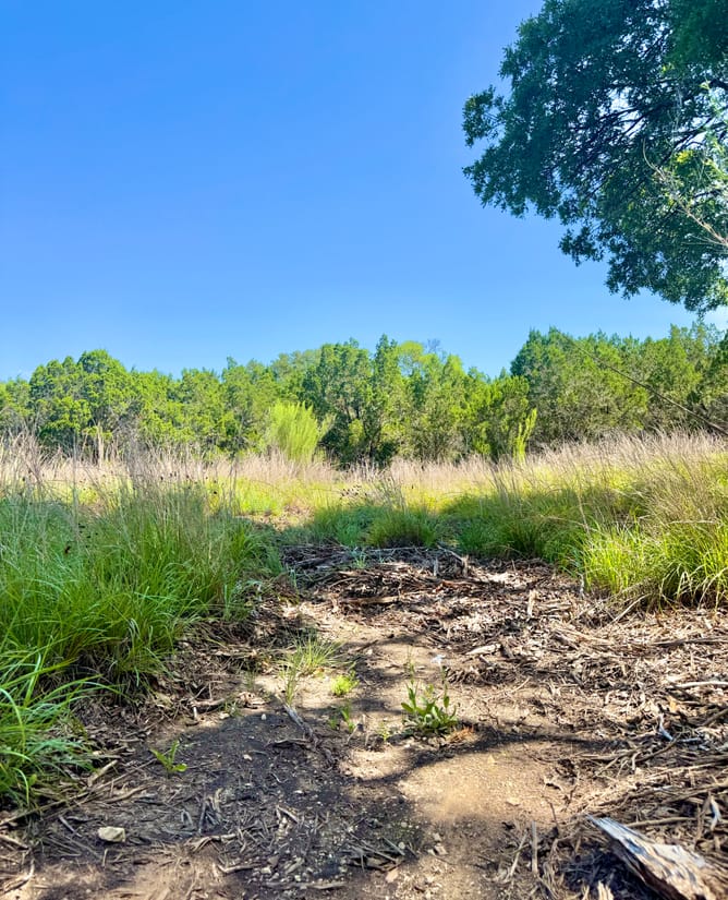 5 Hill Country Acres in Bulverde, Texas