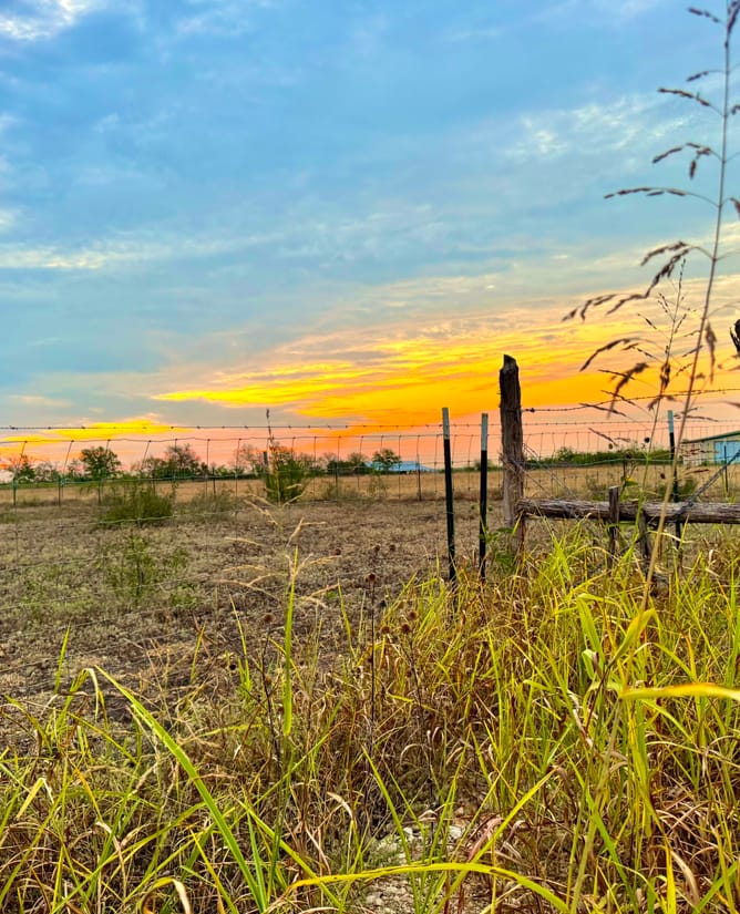 Gorgeous Views - 10.01 Acres