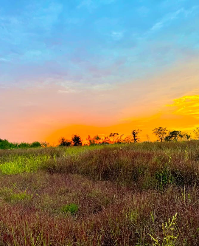 Gorgeous Views - 10.01 Acres