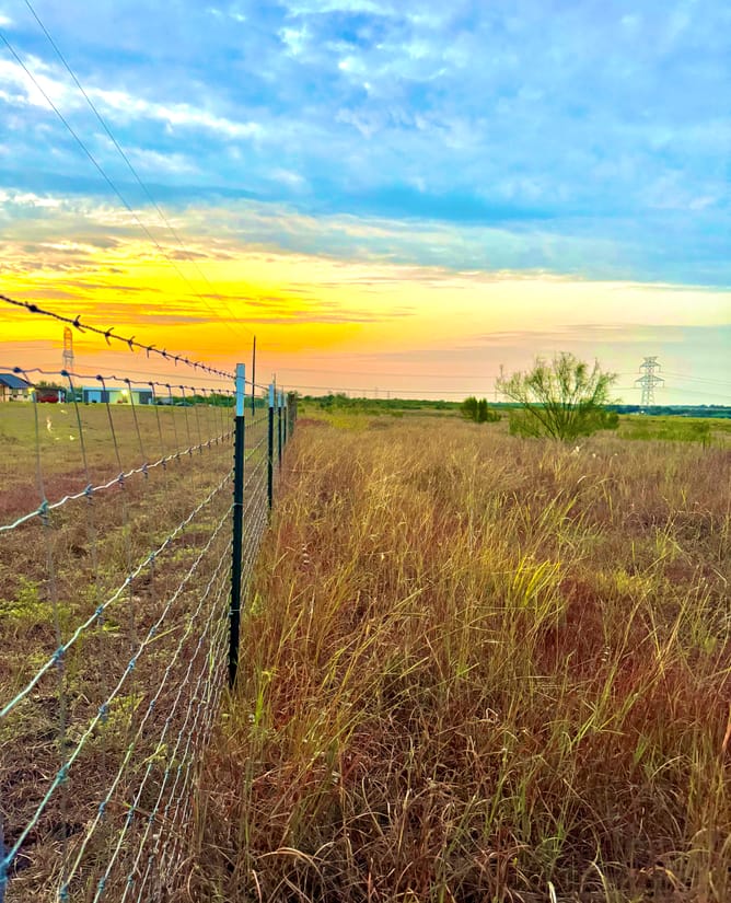 Gorgeous Views - 10.01 Acres