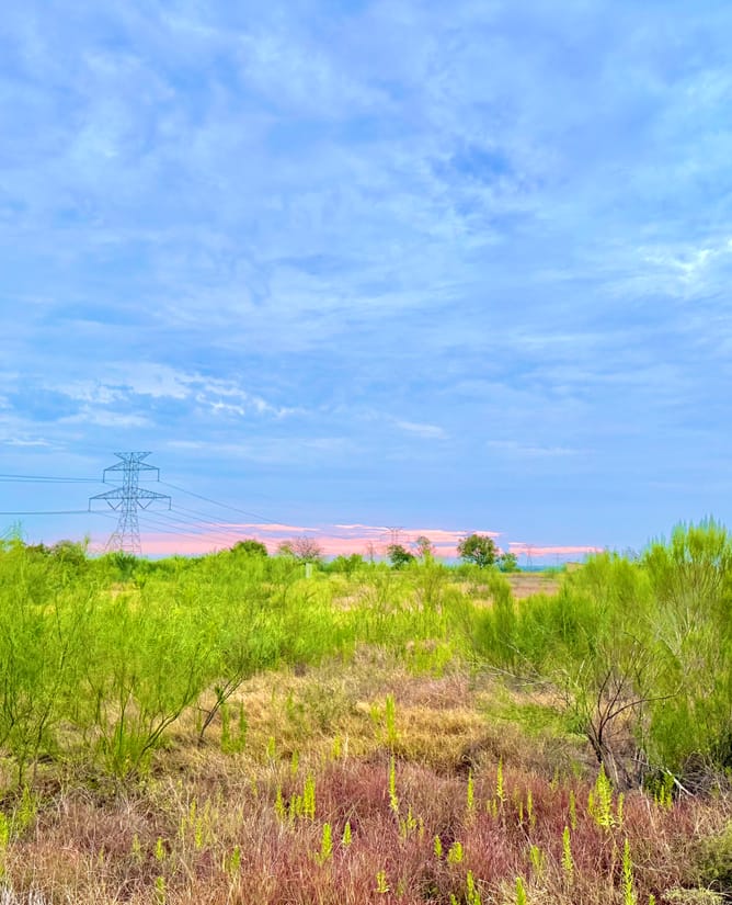 Gorgeous Views - 10.01 Acres
