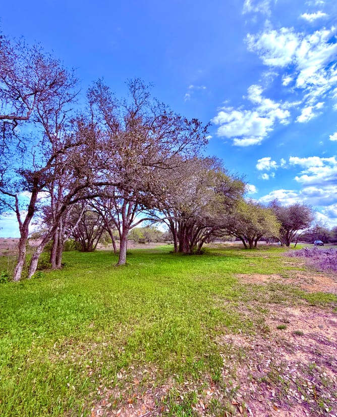 2 Acres in a Gated Country Preserve