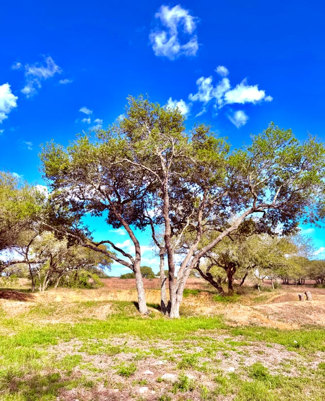 2 Acres in a Gated Country Preserve
