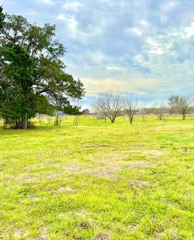 Tract 3 Old Colony Line Rd Dale, TX