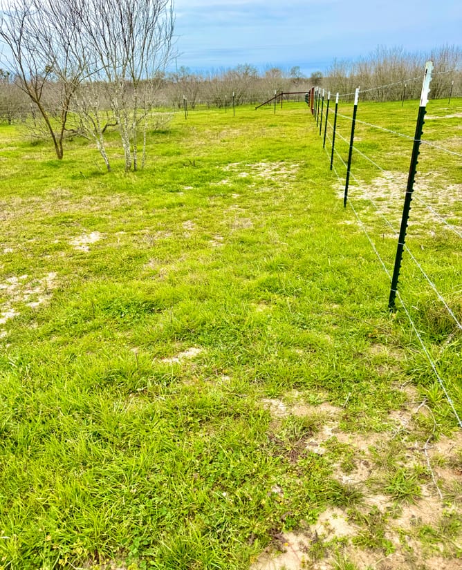 Tract 3 Old Colony Line Rd Dale, TX