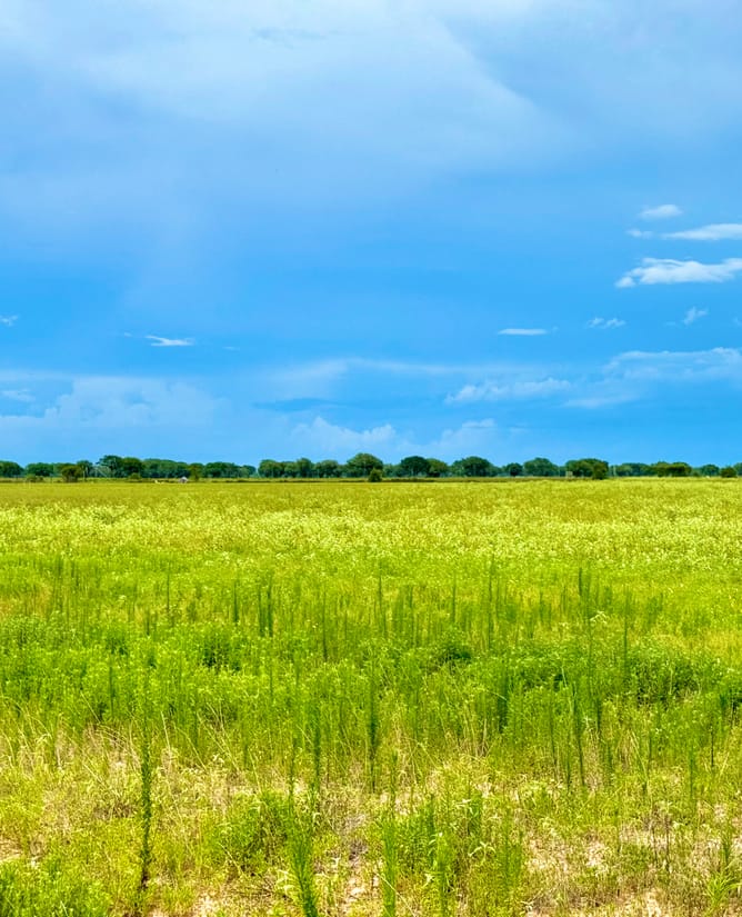 5 beautiful acres at Wild Wing Preserve