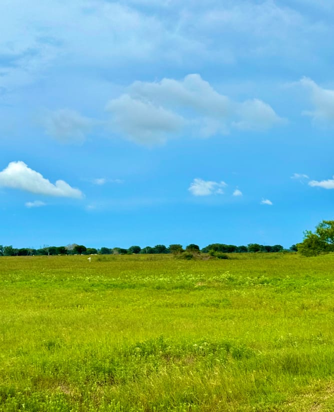 5 beautiful acres at Wild Wing Preserve