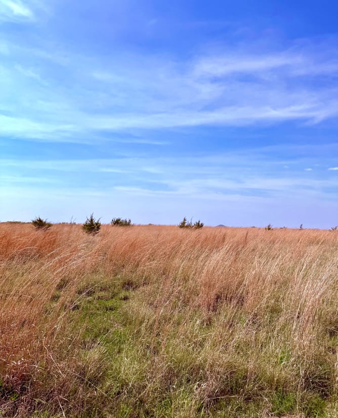 20 Hill Country Acres w VIEWS and water