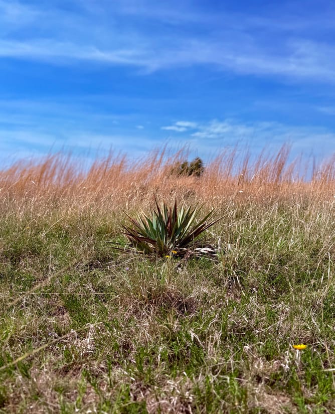 20 Hill Country Acres w VIEWS and water