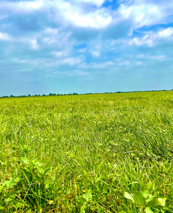 11 Cleared Acres | Huge Views