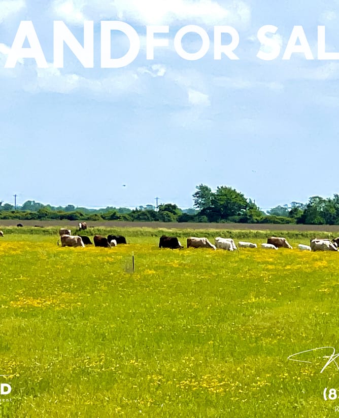 11 Cleared Acres | Huge Views