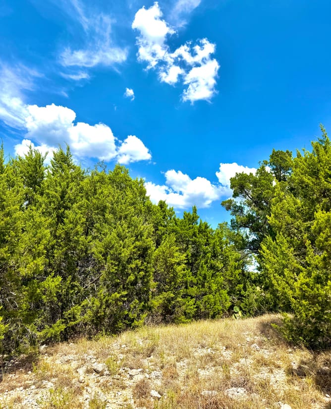 1.4 acres w miles of HILL COUNTRY views