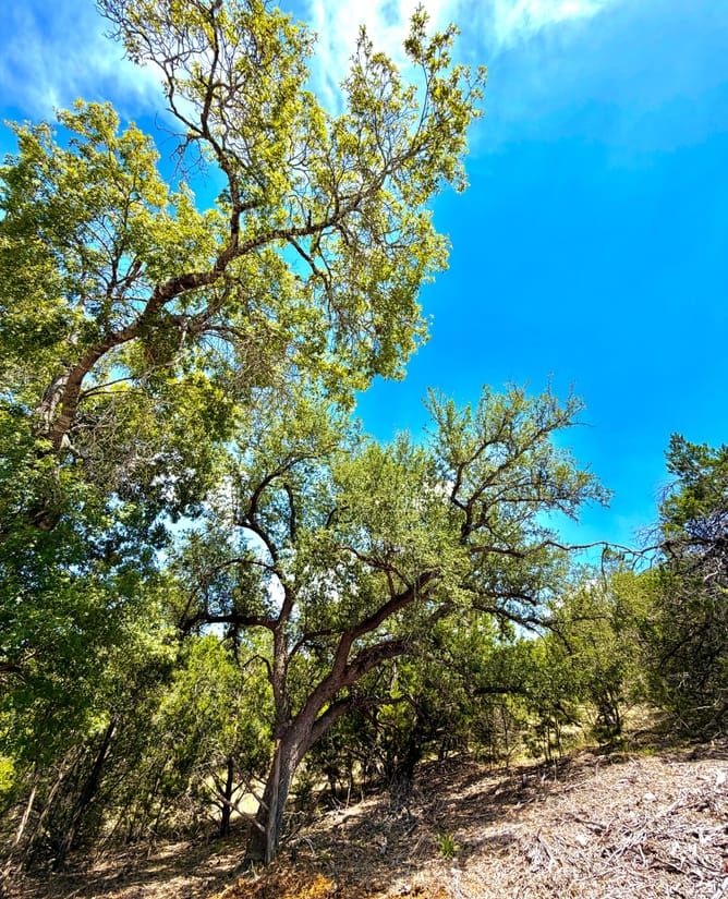 1.4 acres w miles of HILL COUNTRY views