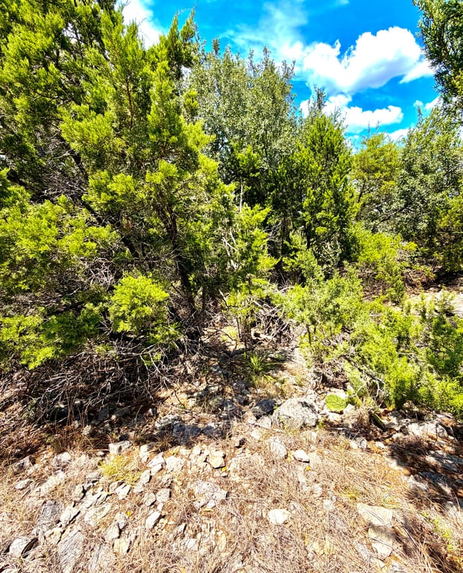 1.4 acres w miles of HILL COUNTRY views