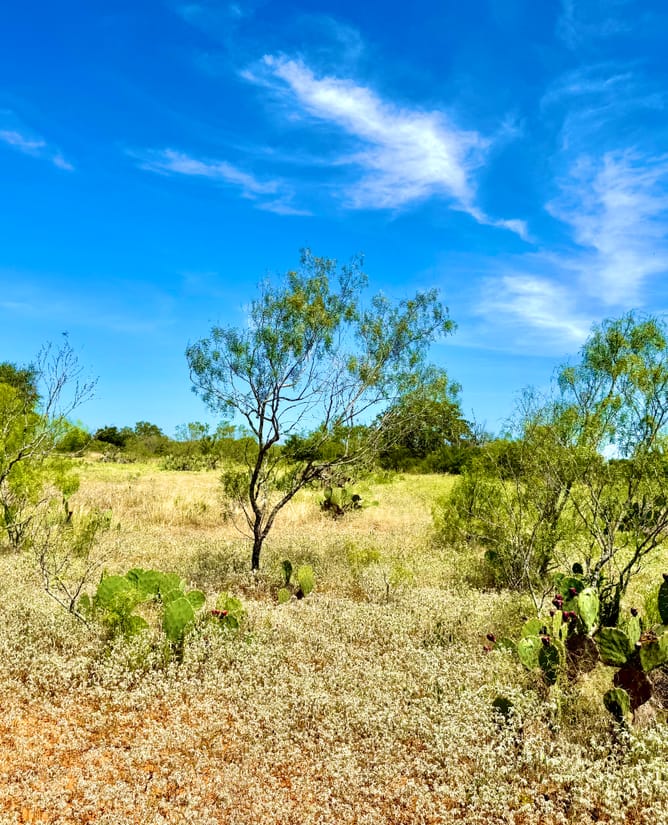 32 Acres for 6.75% interest