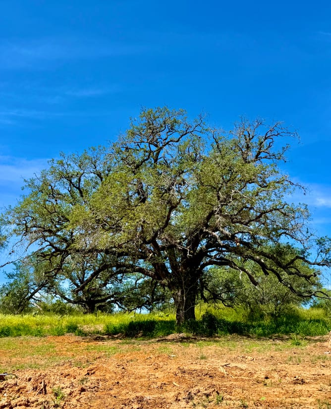 32 Acres for 6.75% interest