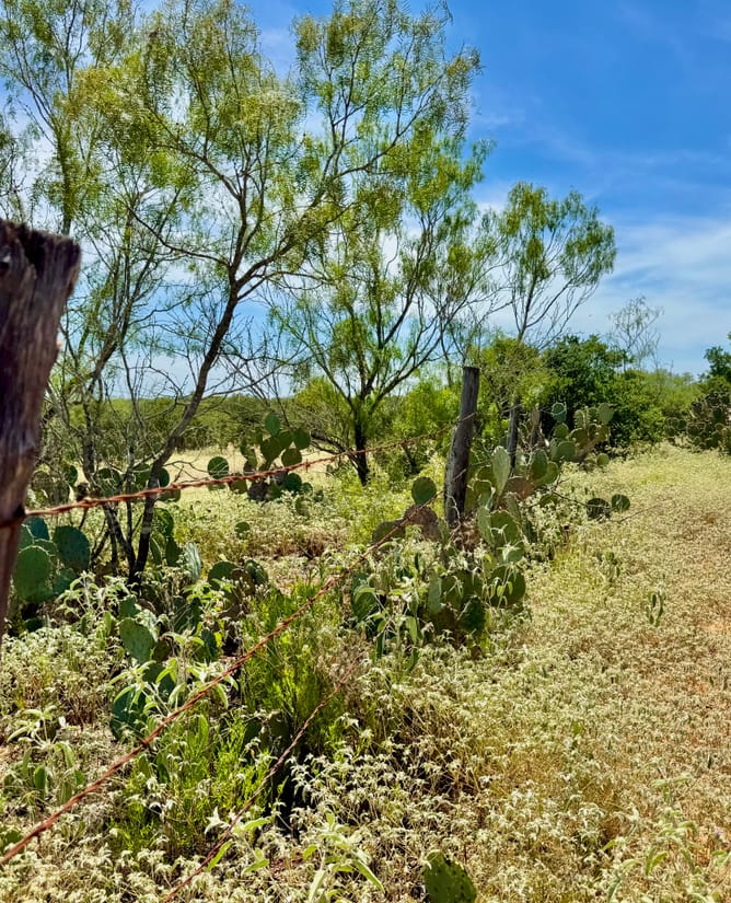 32 Acres for 6.75% interest