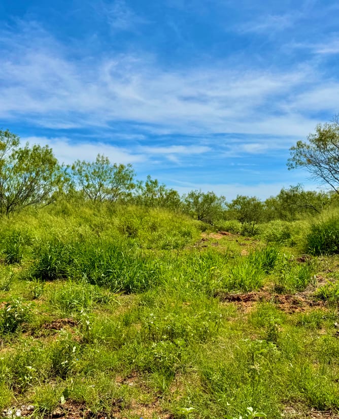 32 Acres for 6.75% interest
