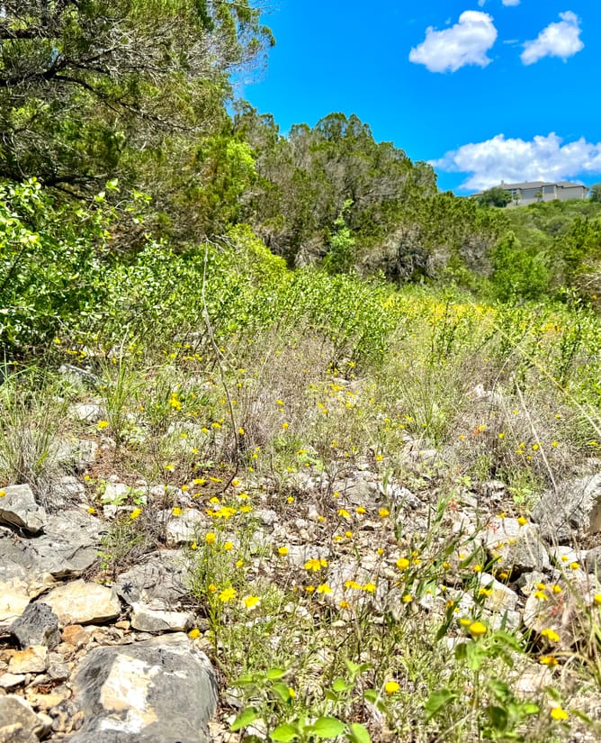 4 Acres Near Medina Lake