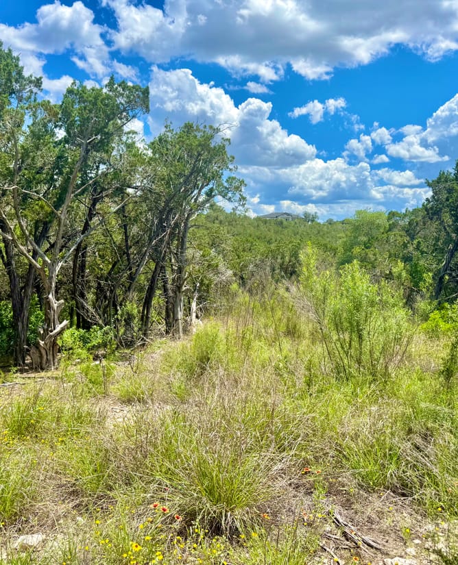 4 Acres Near Medina Lake