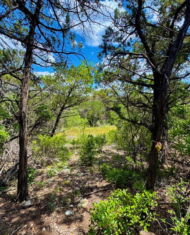 4 Acres Near Medina Lake
