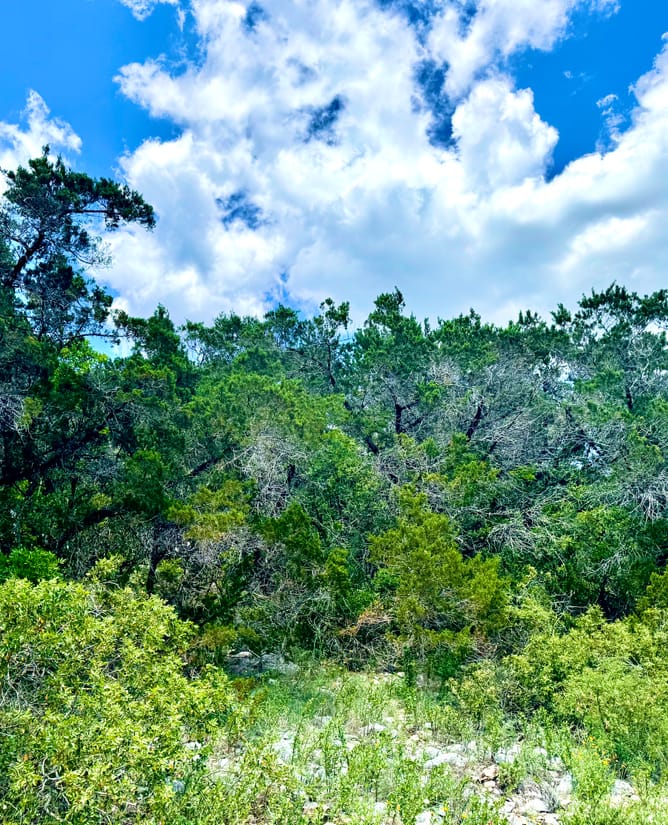 4 Acres Near Medina Lake