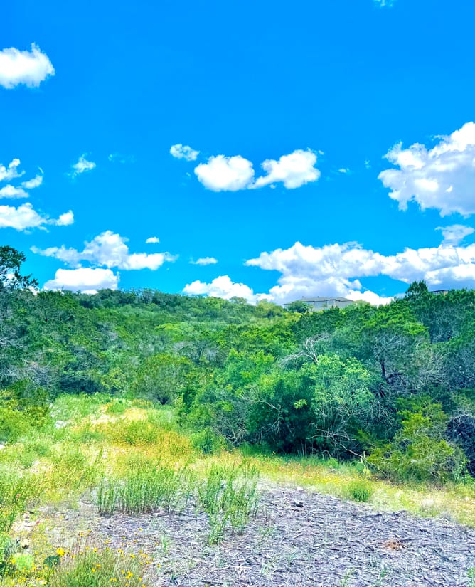 4 Acres Near Medina Lake