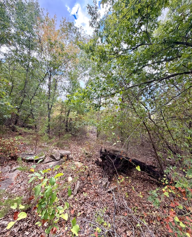 16 Acres HUGE Views